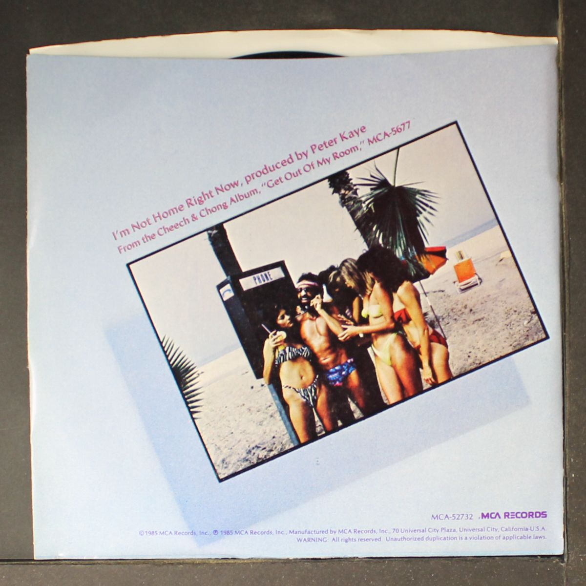 i'm not home right now / hot saki by CHEECH & CHONG