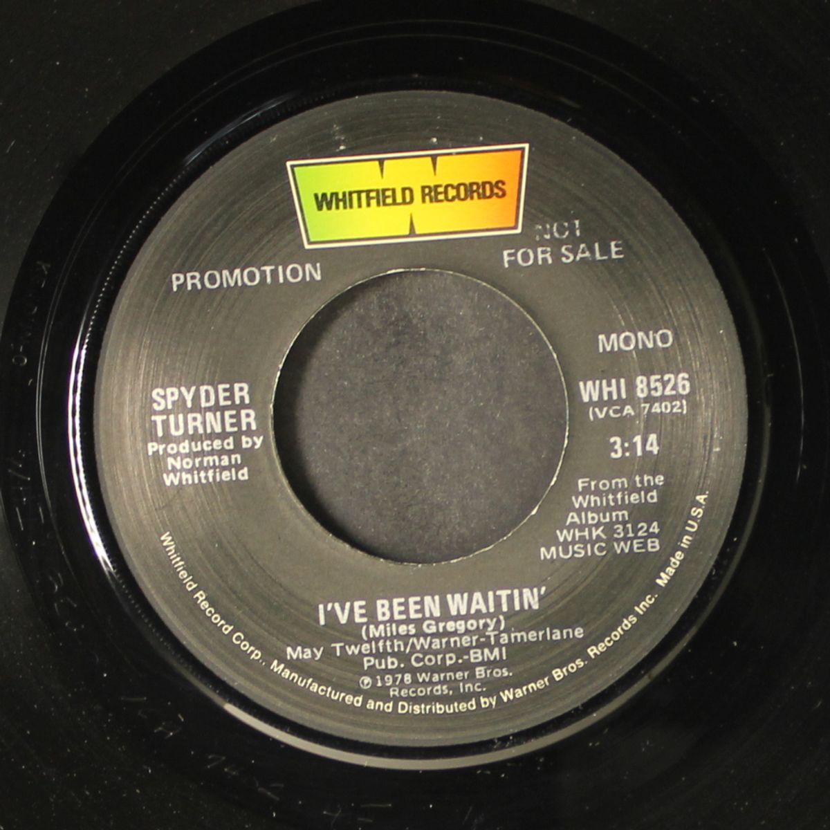 i've been waitin' / mono by SPYDER TURNER