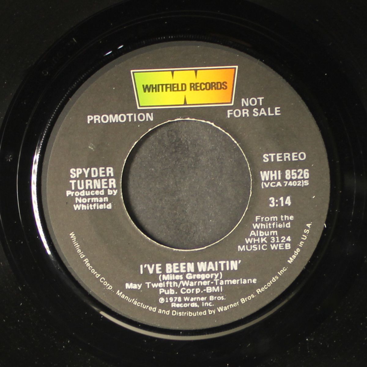 i've been waitin' / mono by SPYDER TURNER