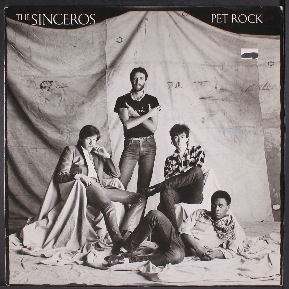 pet rock by SINCEROS