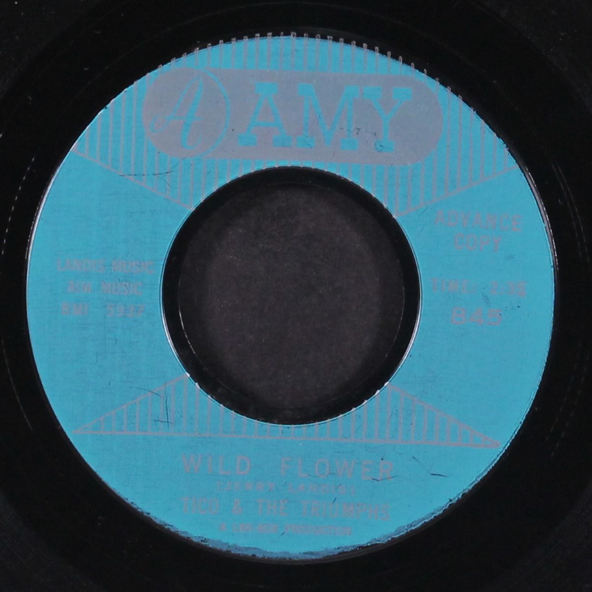express train / wild flower by TICO & TRIUMPHS