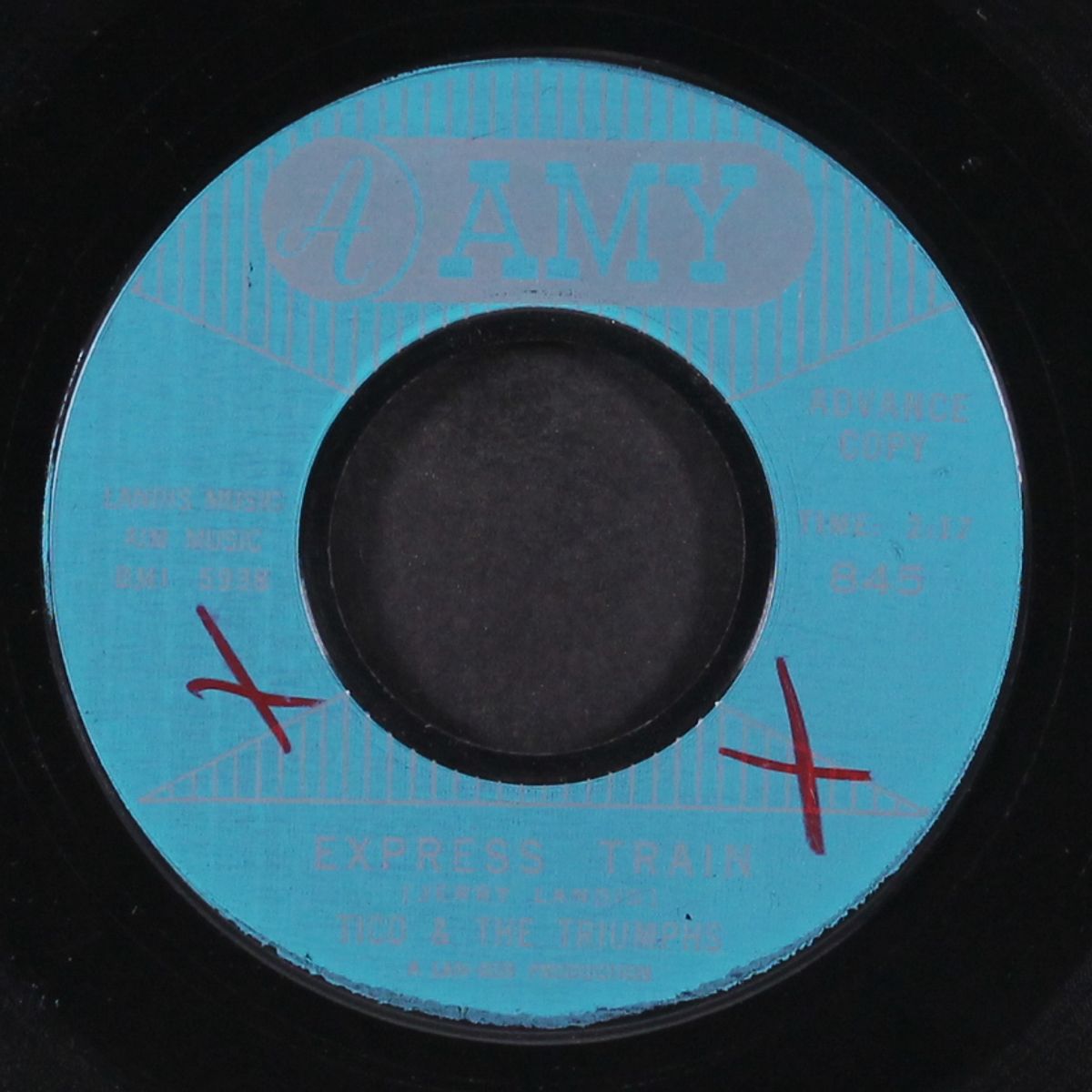 express train / wild flower by TICO & TRIUMPHS