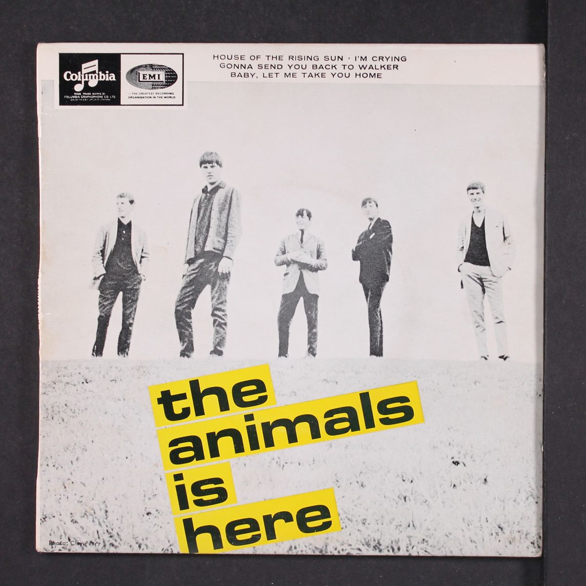 the animals is here by ANIMALS