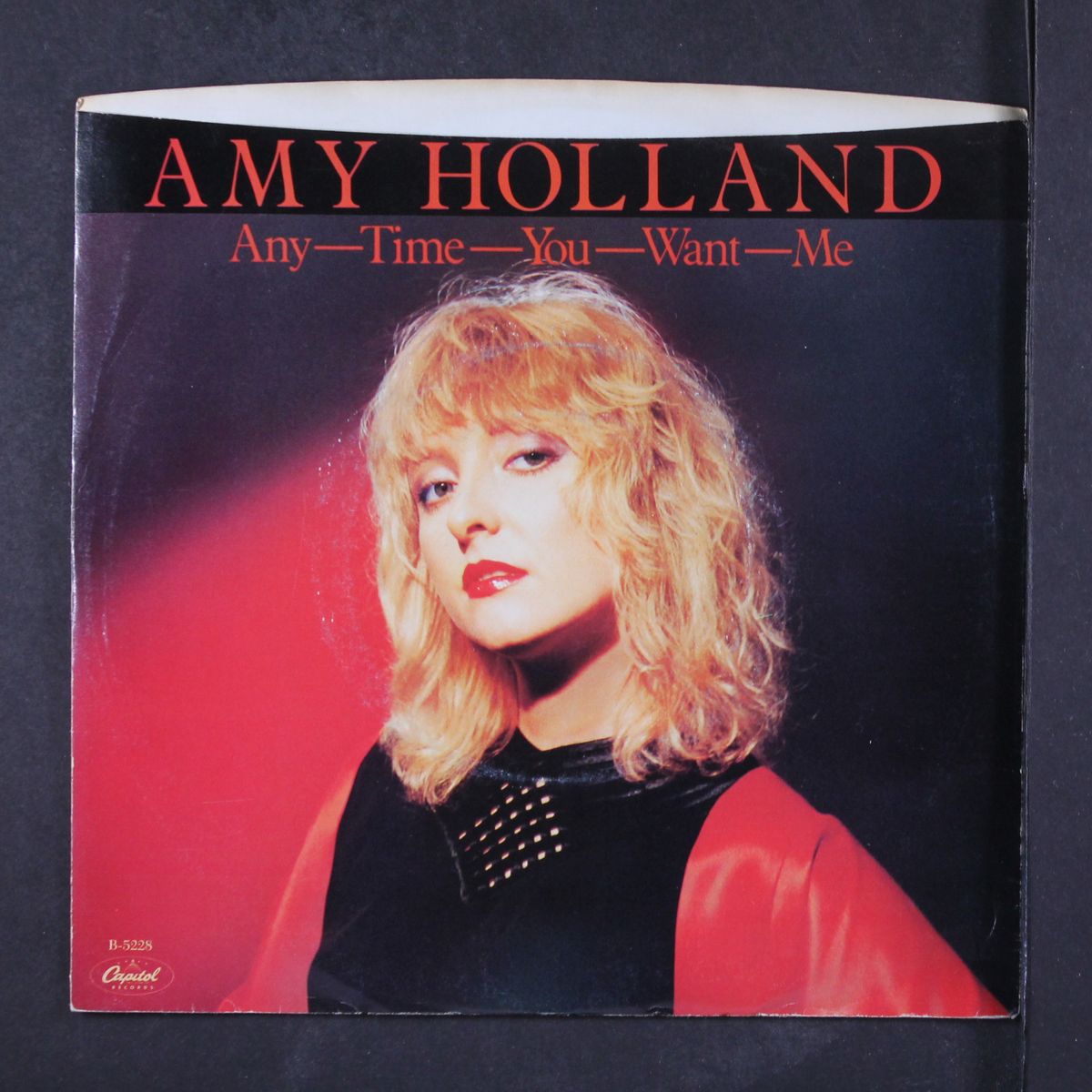 anytime you want me by AMY HOLLAND