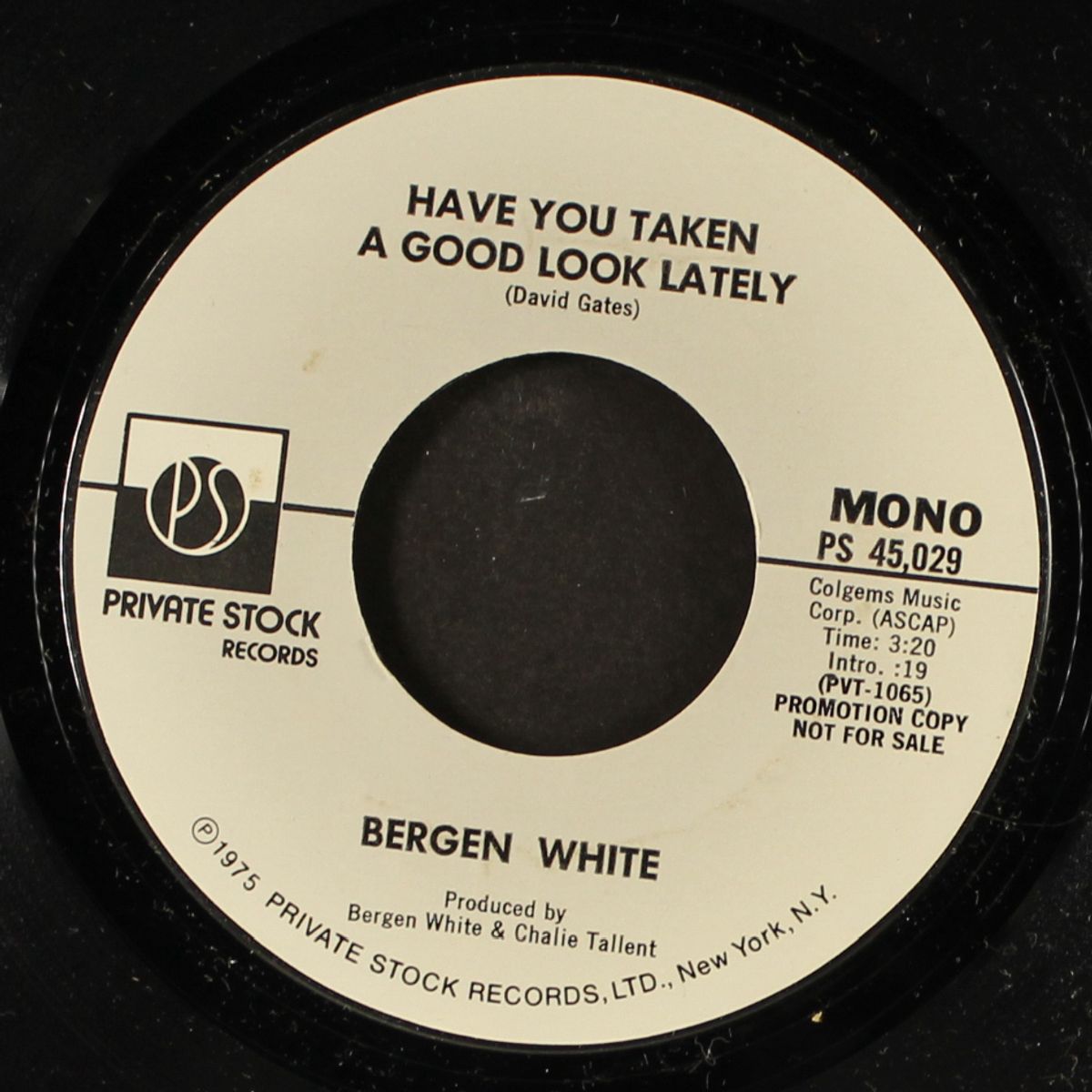have you taken a good look lately / mono by BERGEN WHITE