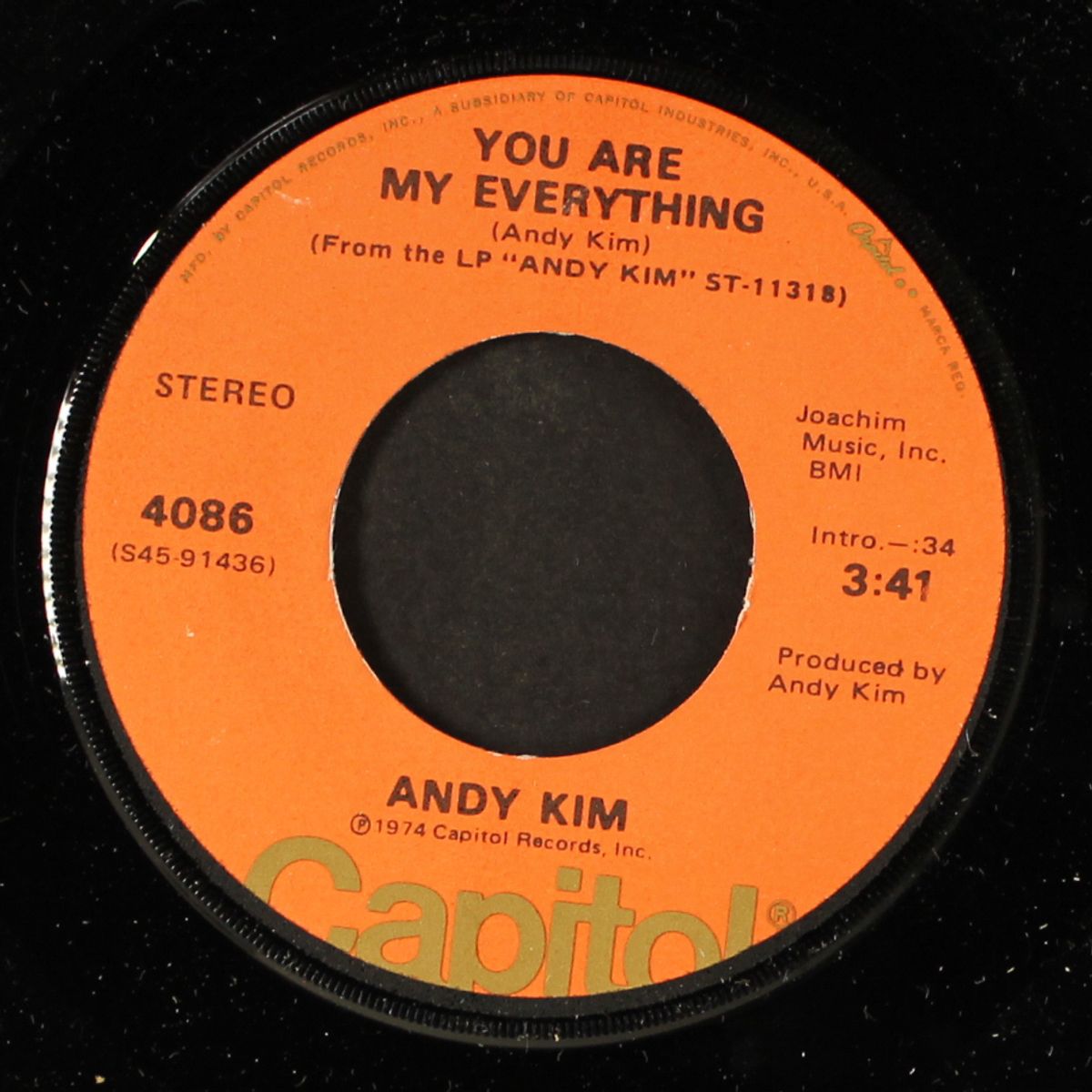 you are my everything / mary ann by ANDY KIM