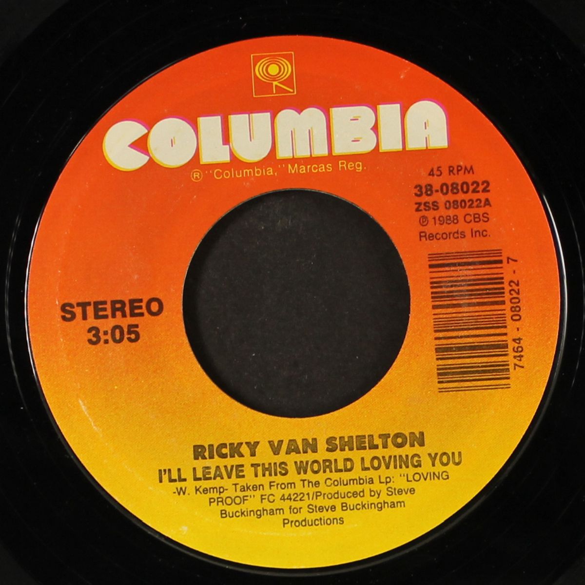 i'll leave this world loving you by RICKY VAN SHELTON