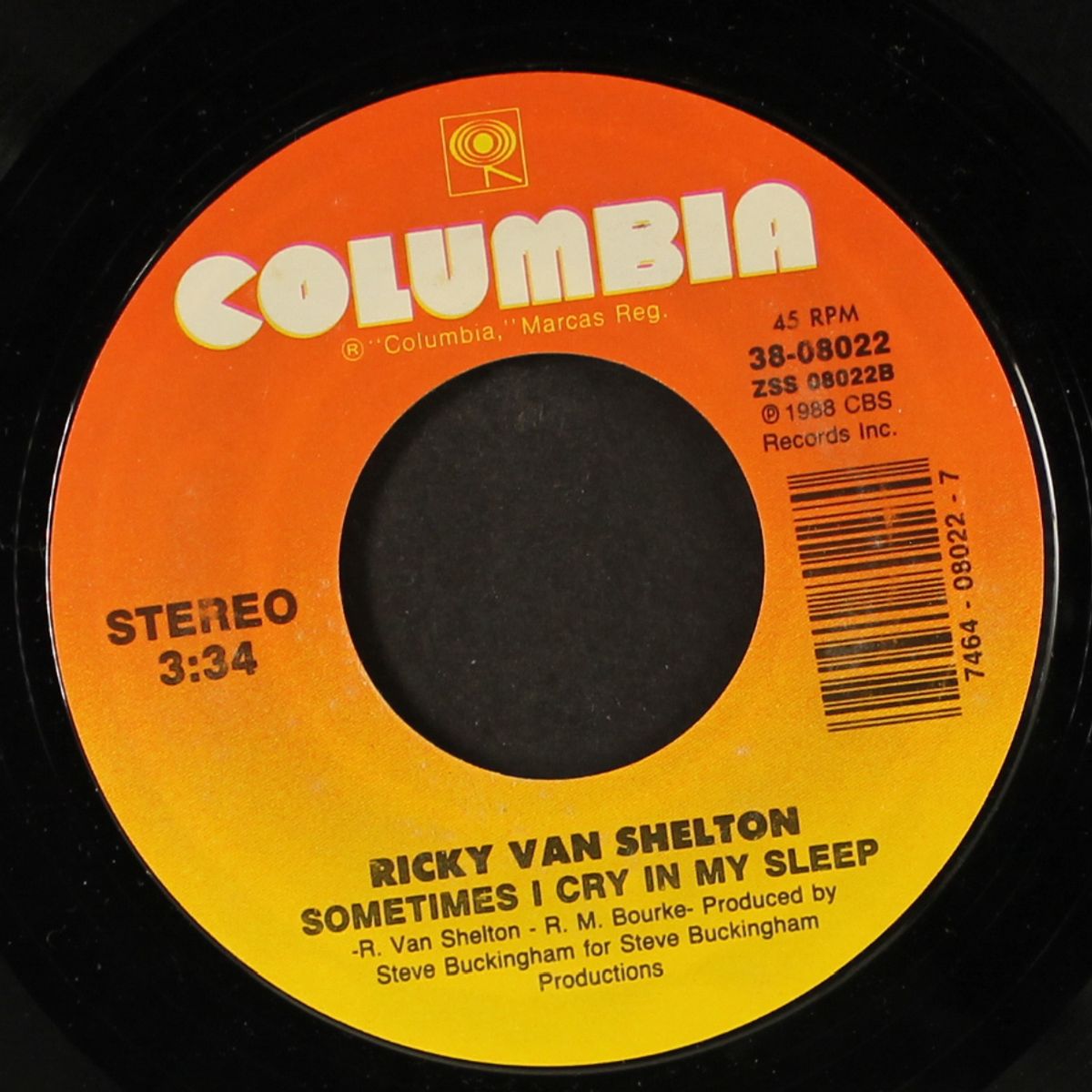 i'll leave this world loving you by RICKY VAN SHELTON