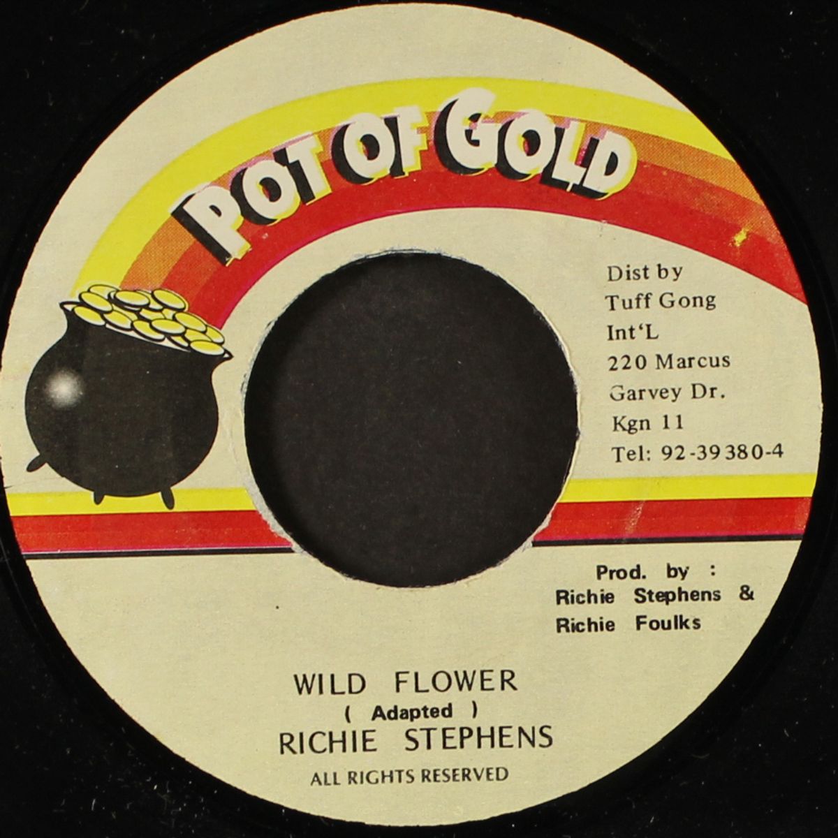 wild flower / version by RICHIE STEPHENS