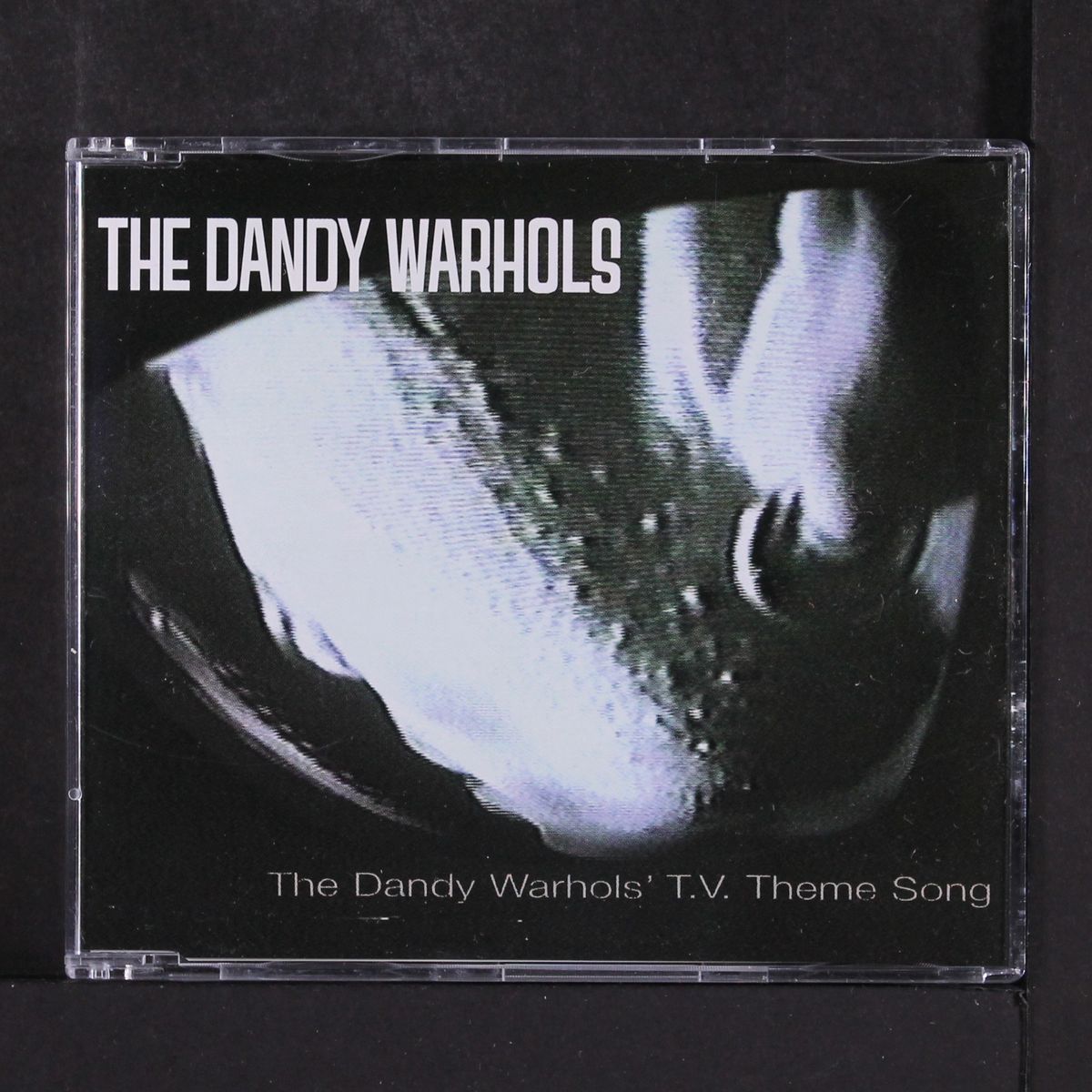 t.v. theme song by DANDY WARHOLS