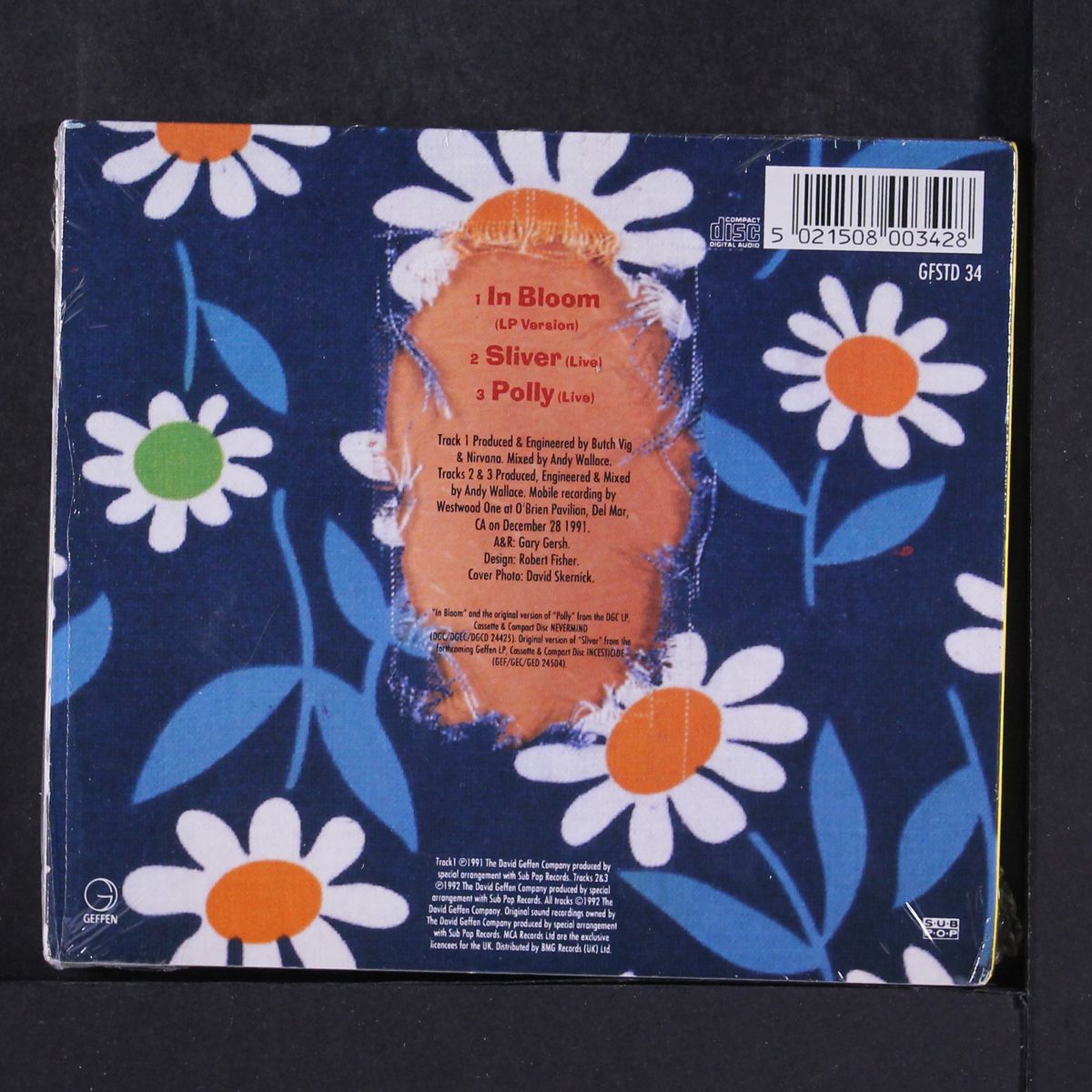 in bloom by NIRVANA