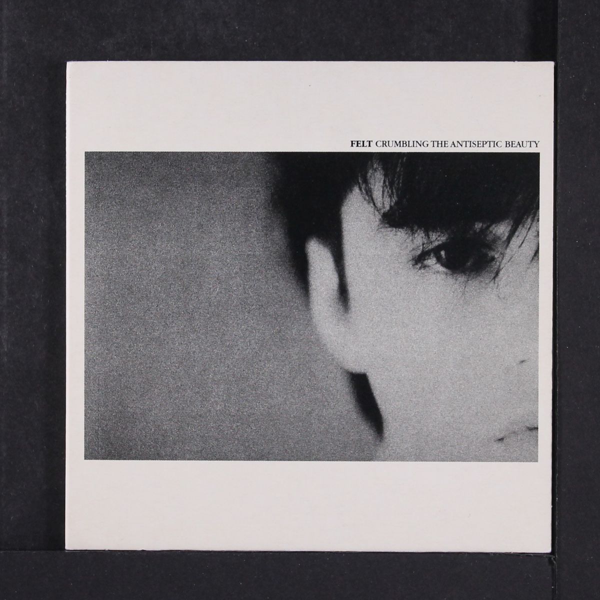 crumbling the antiseptic beauty by FELT