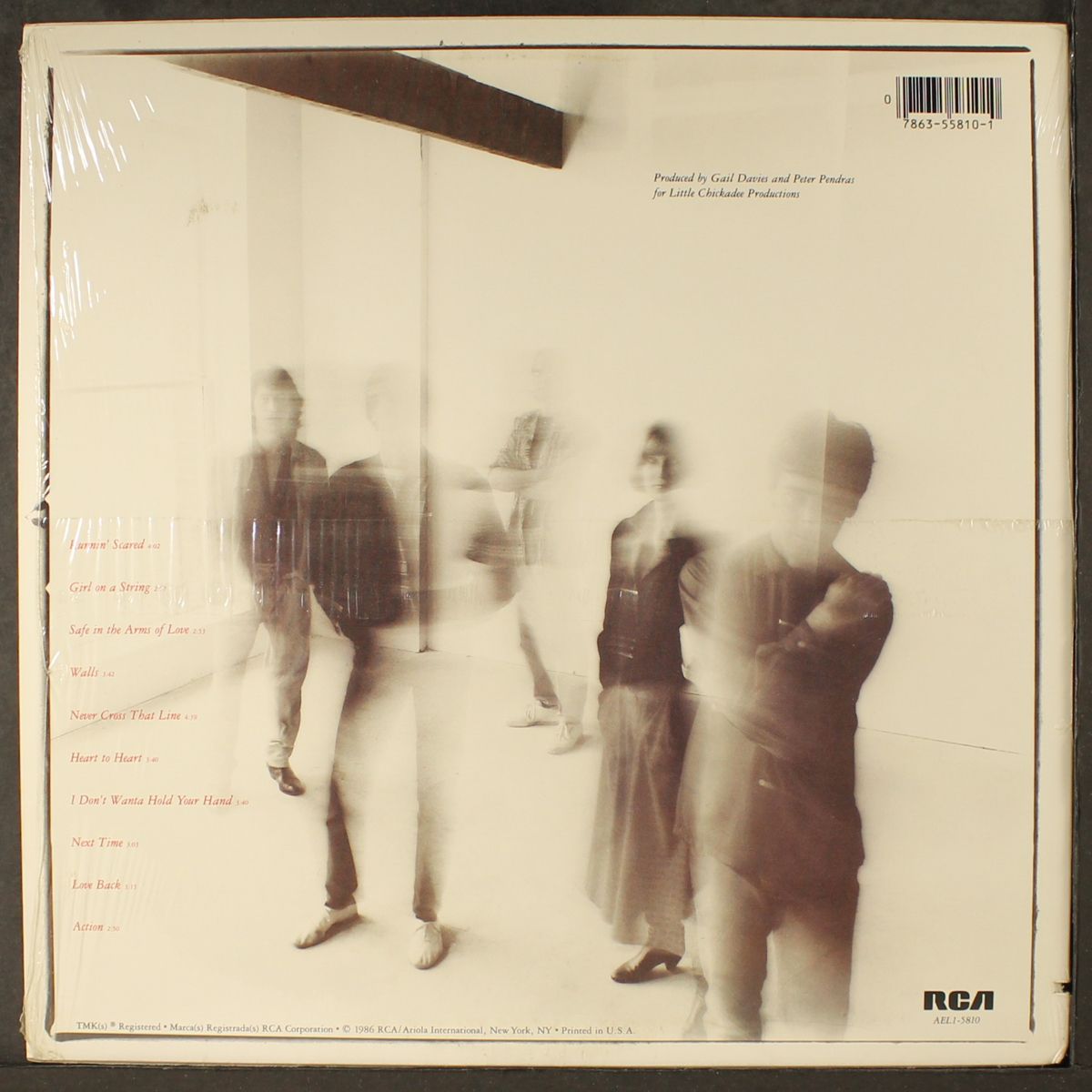 wild choir by WILD CHOIR