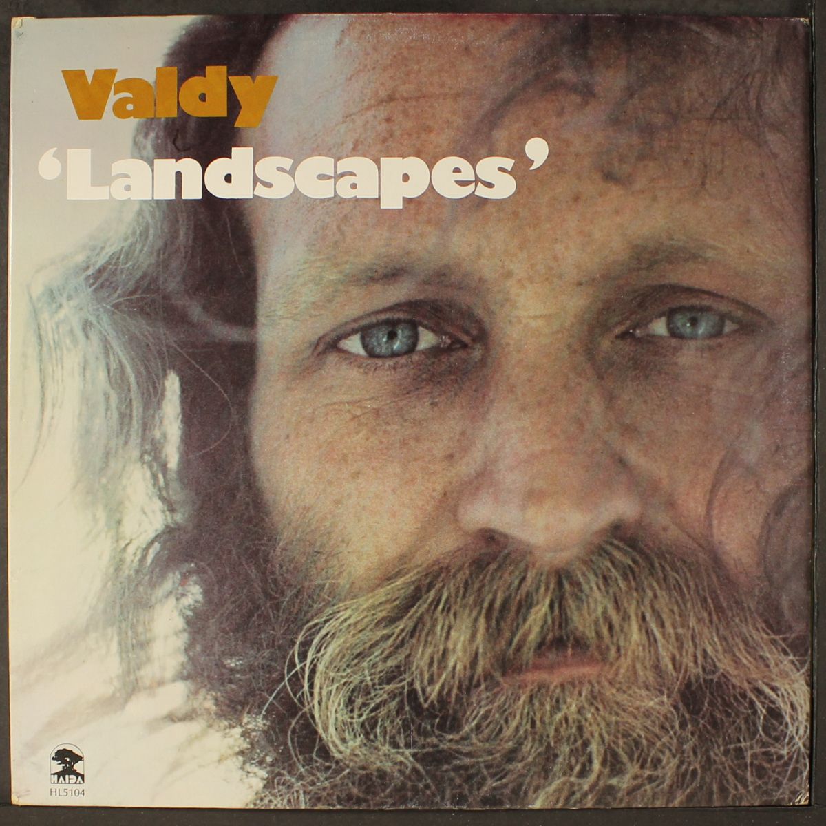 landscapes by VALDY