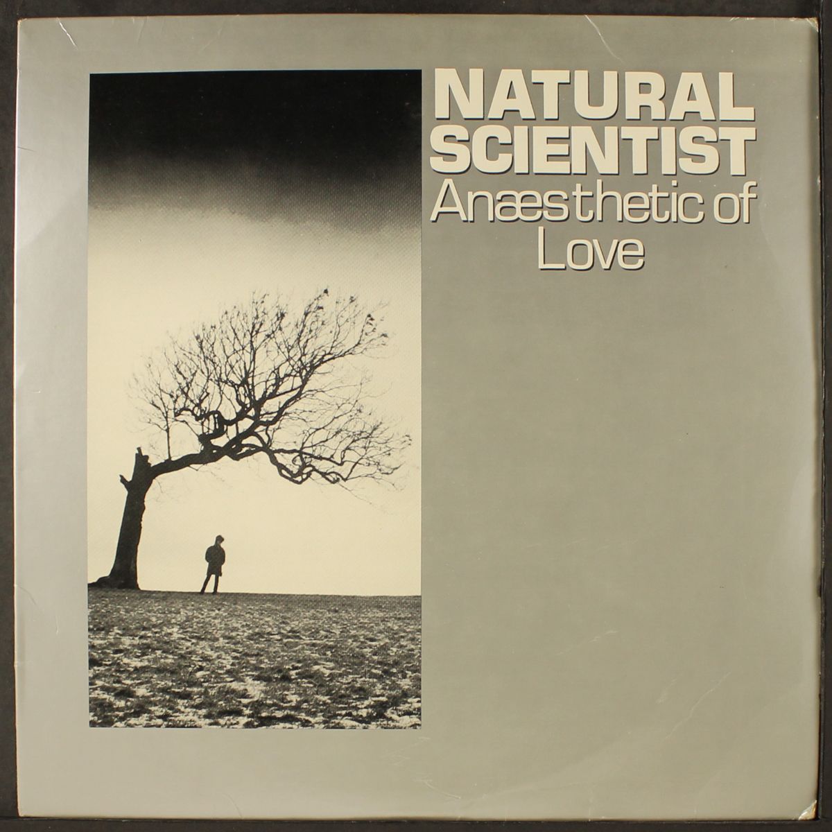 anaesthetic of love by NATURAL SCIENTIST