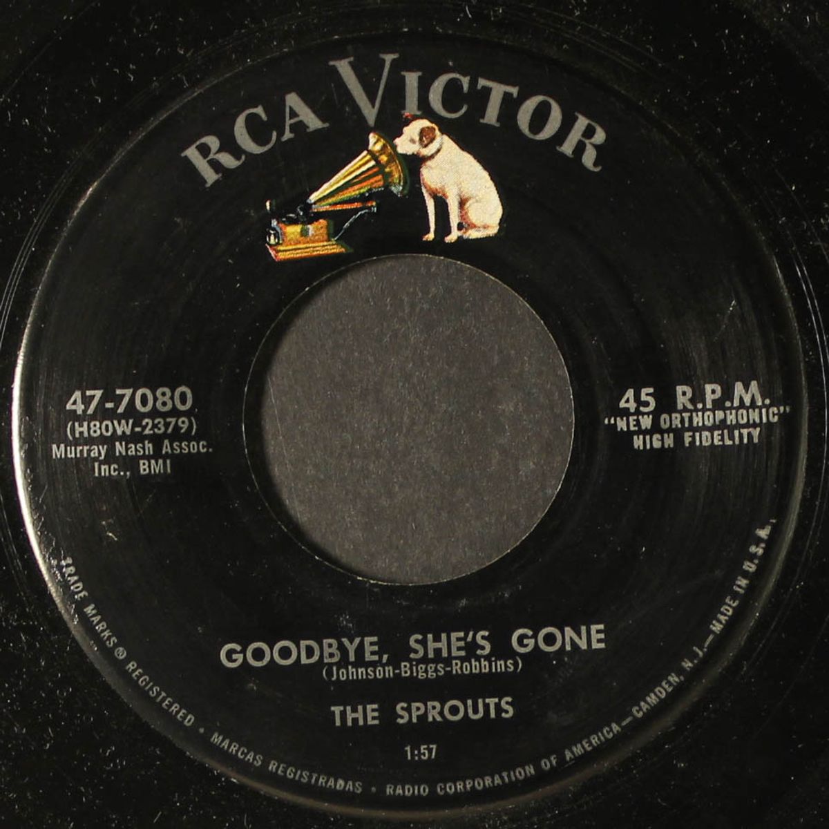 teen billy baby / goodbye, she's gone by SPROUTS