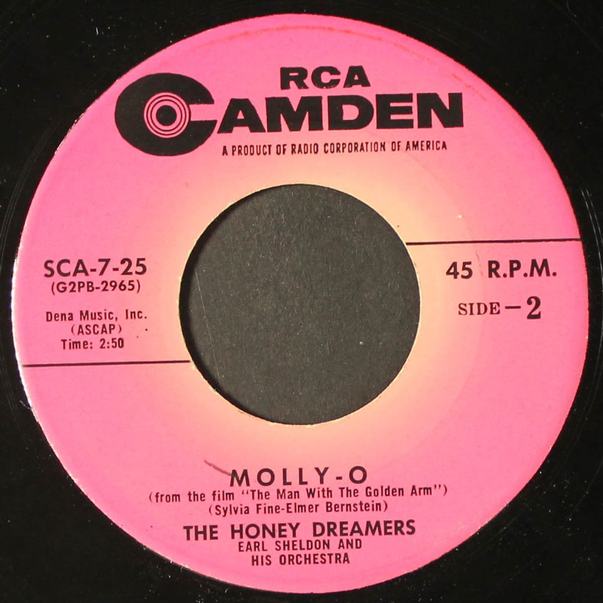 the campus rock / molly-o by HONEY DREAMERS