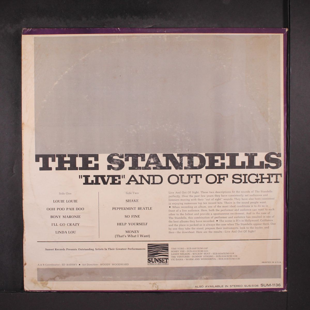 live and out of sight by STANDELLS