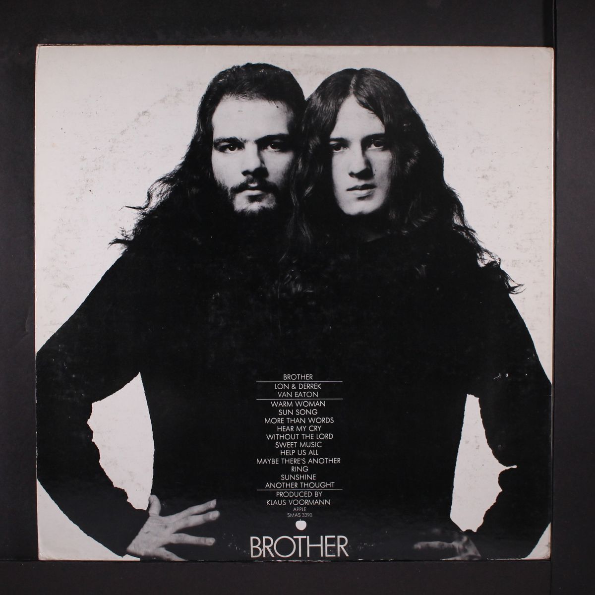 brother by LON & DERREK VAN EATON