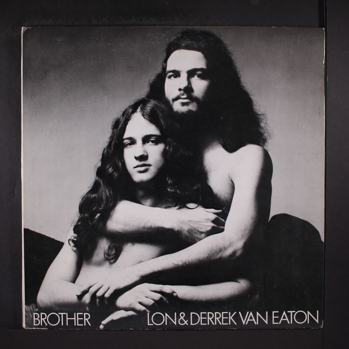 brother by LON & DERREK VAN EATON