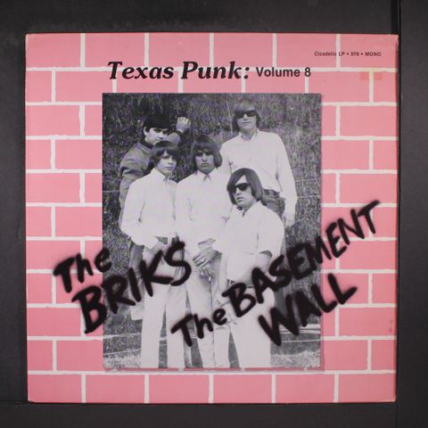BRIKS / BASEMENT WALL