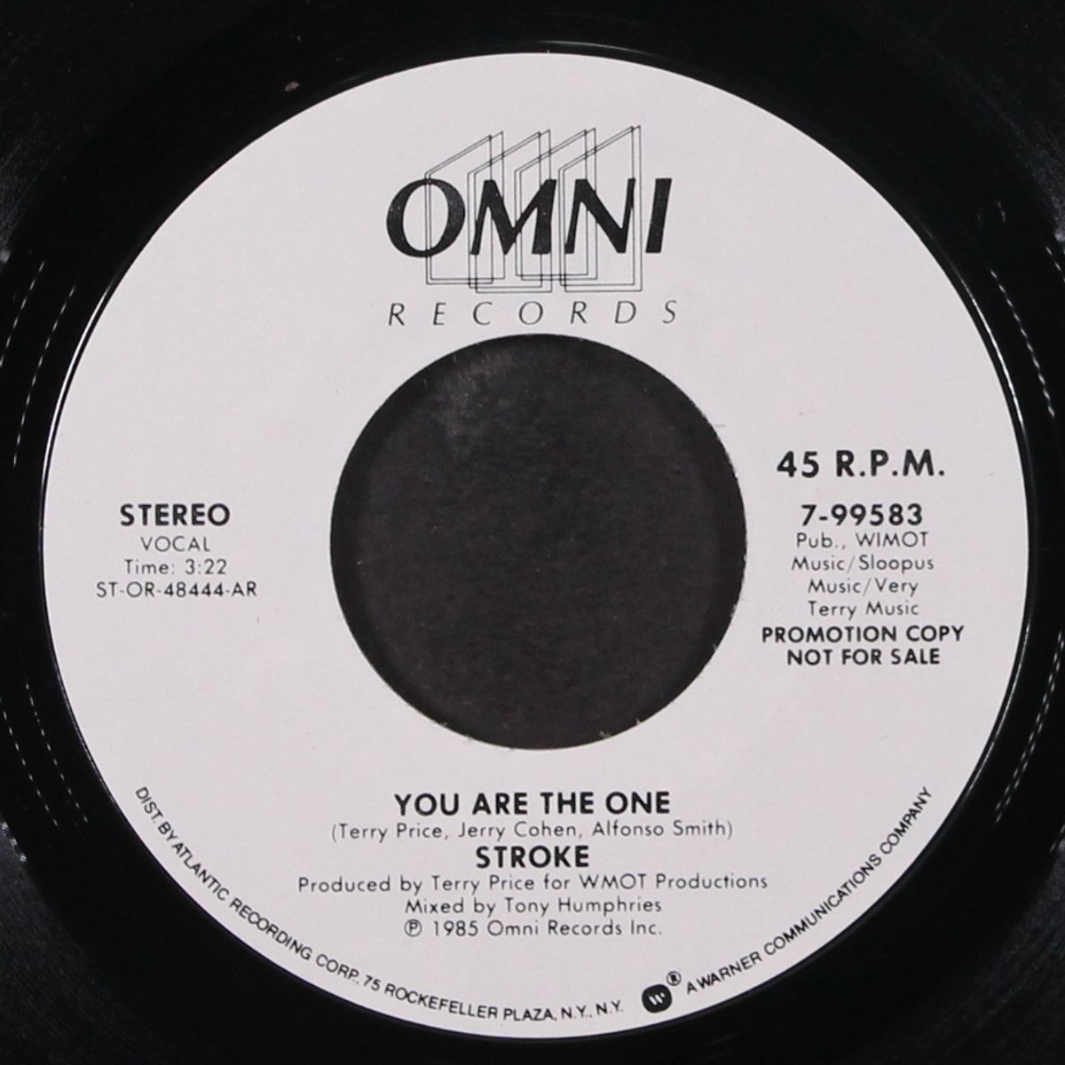 you are the one by STROKE
