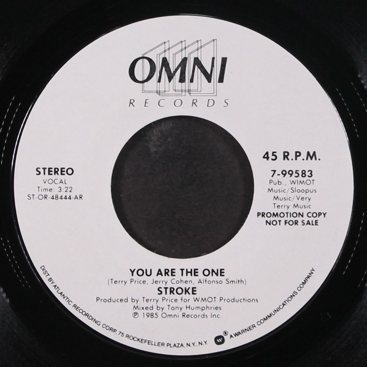 you are the one by STROKE