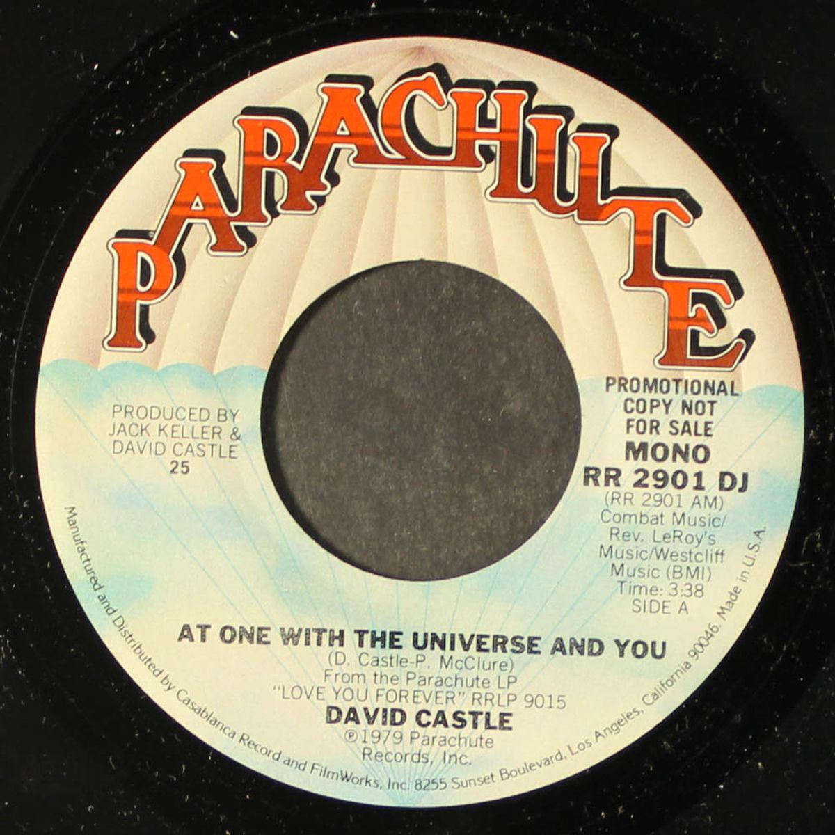 at one with the universe and you / mono by DAVID CASTLE