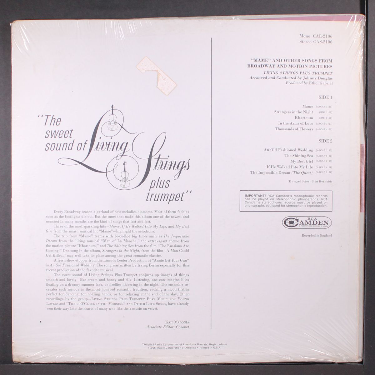 mame by LIVING STRINGS