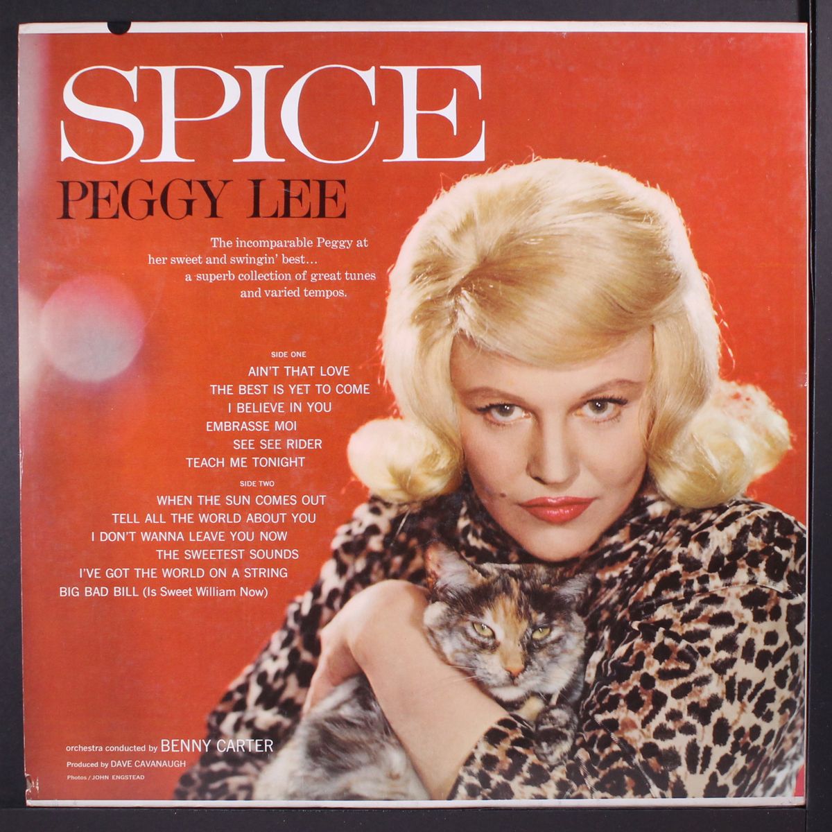 sugar 'n' spice by PEGGY LEE