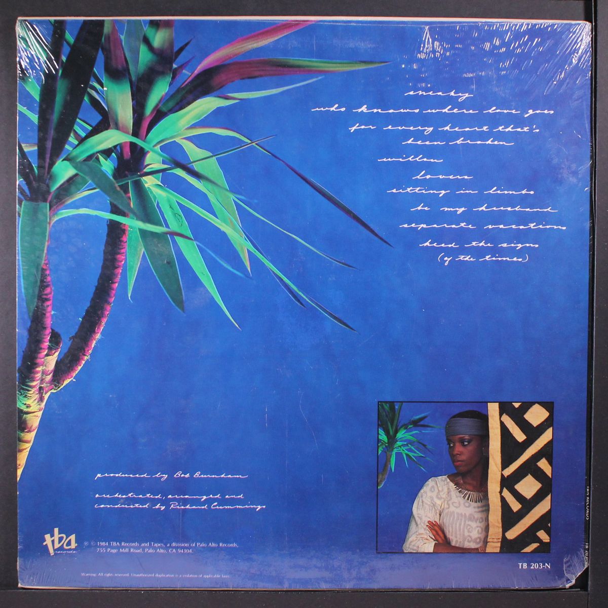 for every heart by DIANNE REEVES