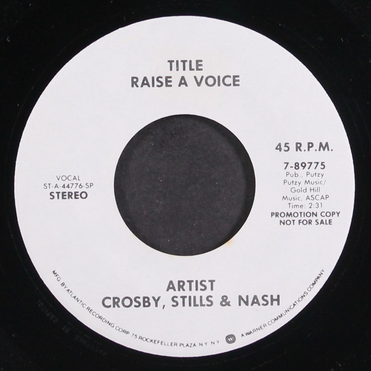 raise a voice by CROSBY, STILLS & NASH