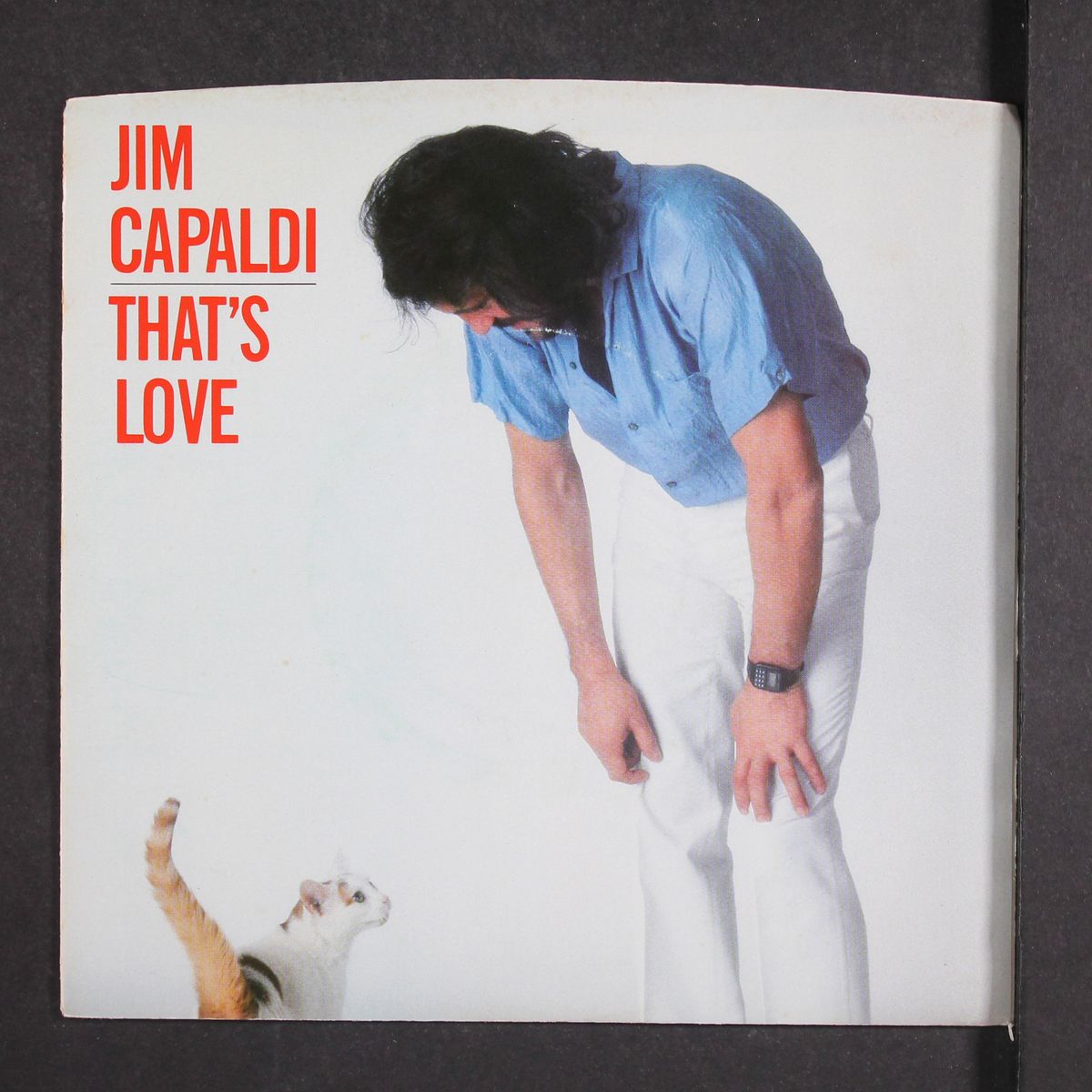 that's love / runaway by JIM CAPALDI