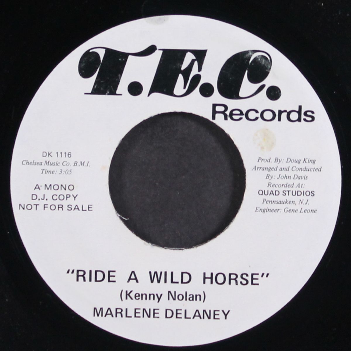 ride a wild horse / mono by MARLENE DELANEY