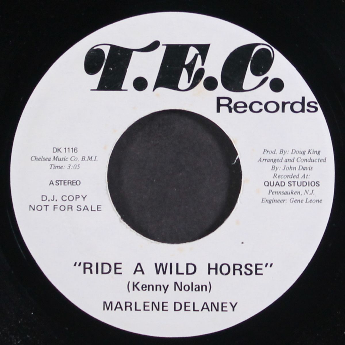 ride a wild horse / mono by MARLENE DELANEY