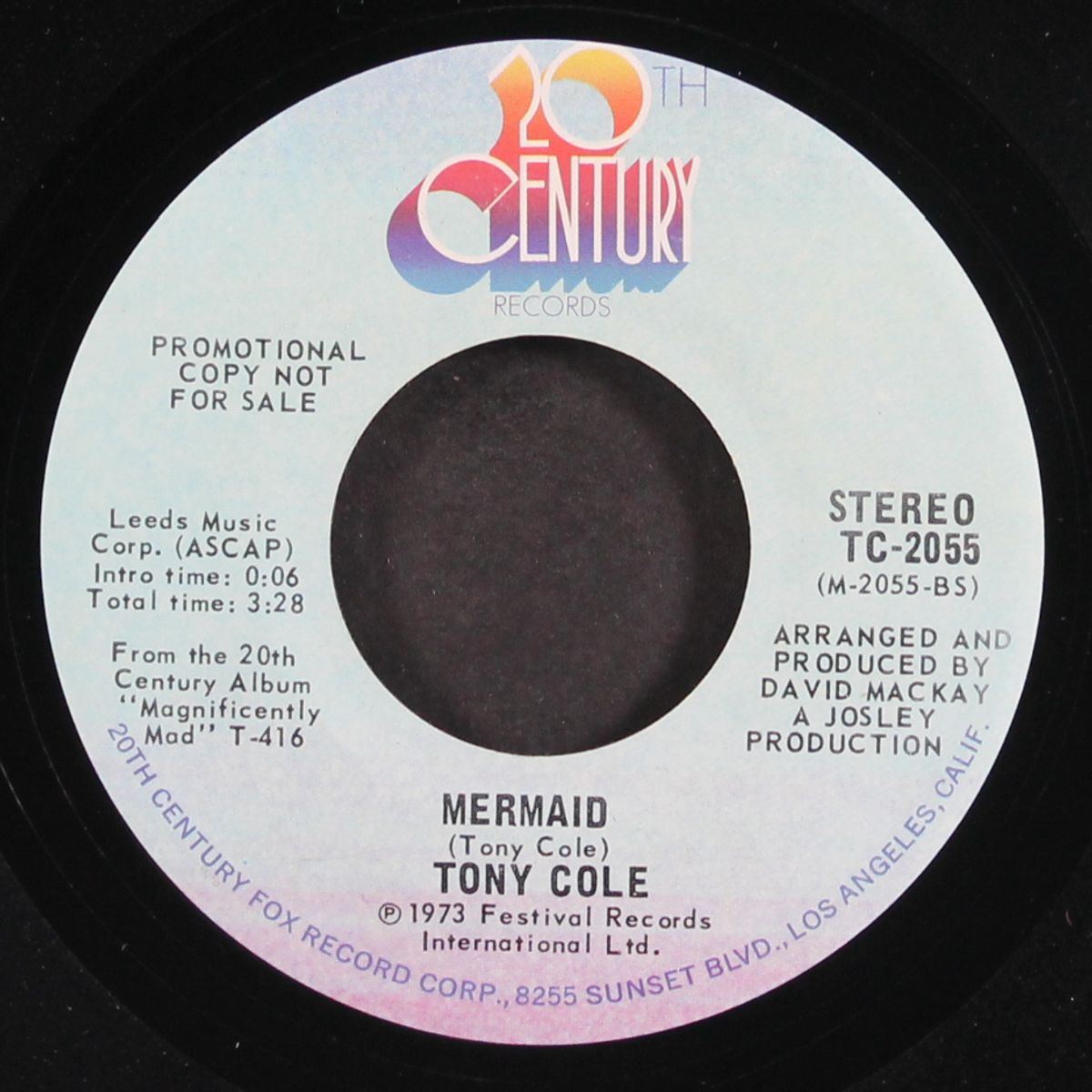 mermaid by TONY COLE