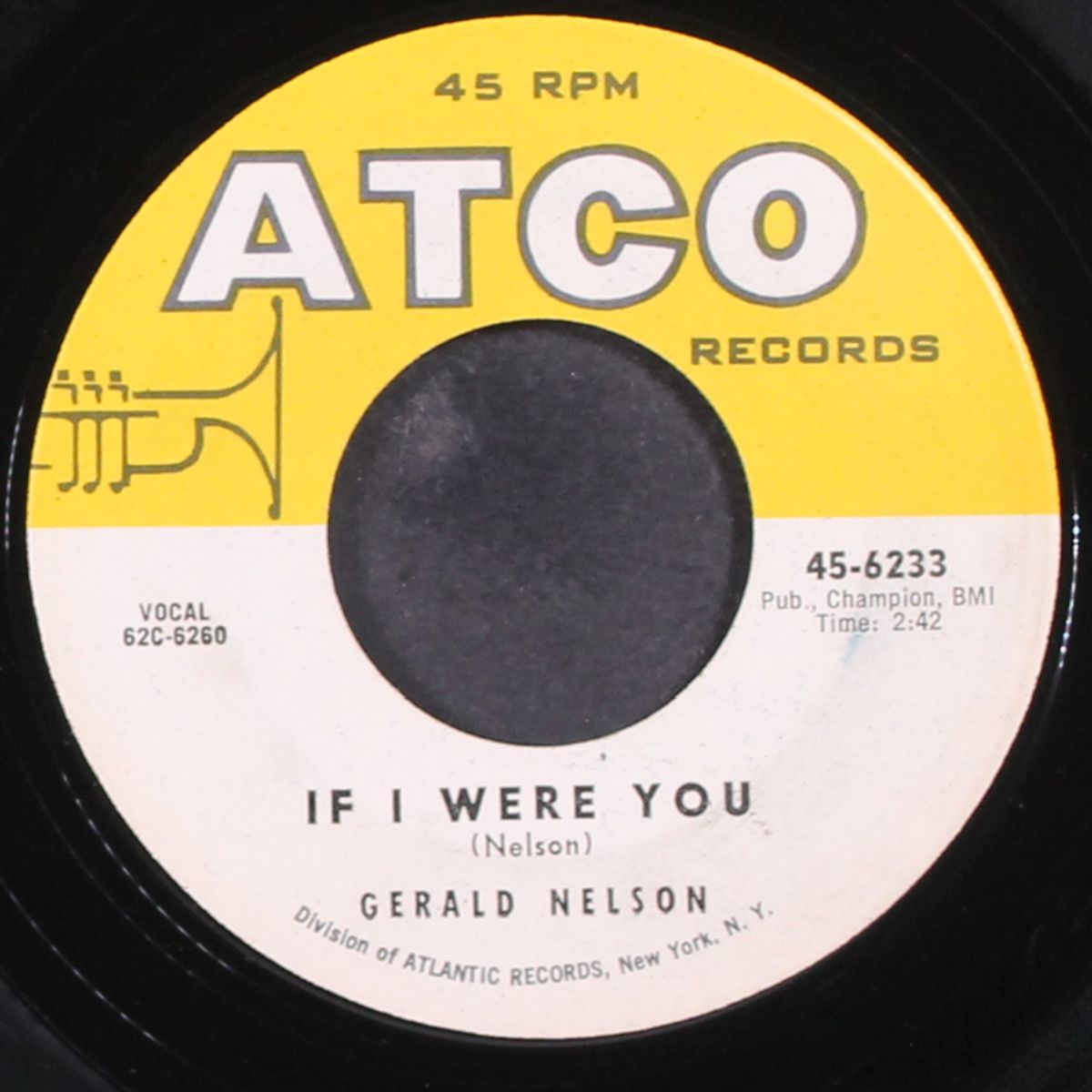 if i were you / the big chance by GERALD NELSON