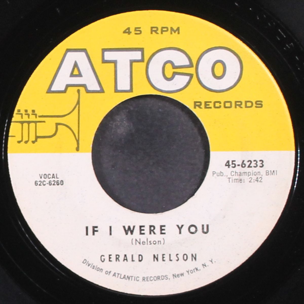 if i were you / the big chance by GERALD NELSON
