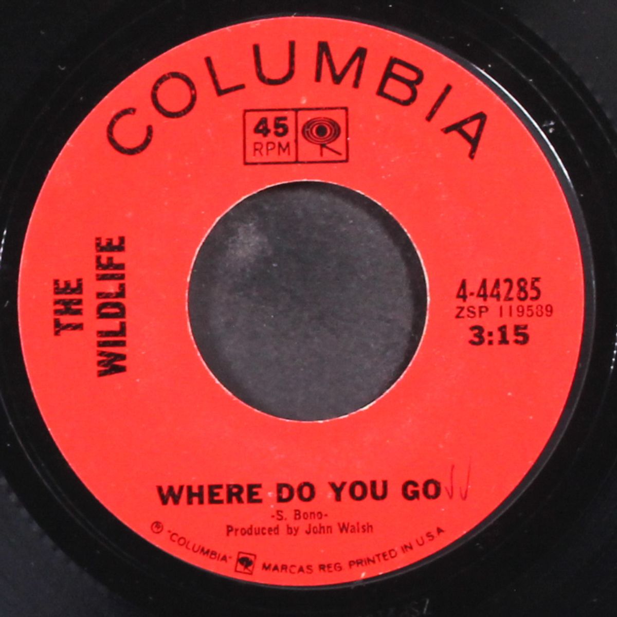 new games to play / where do you go by WILDLIFE