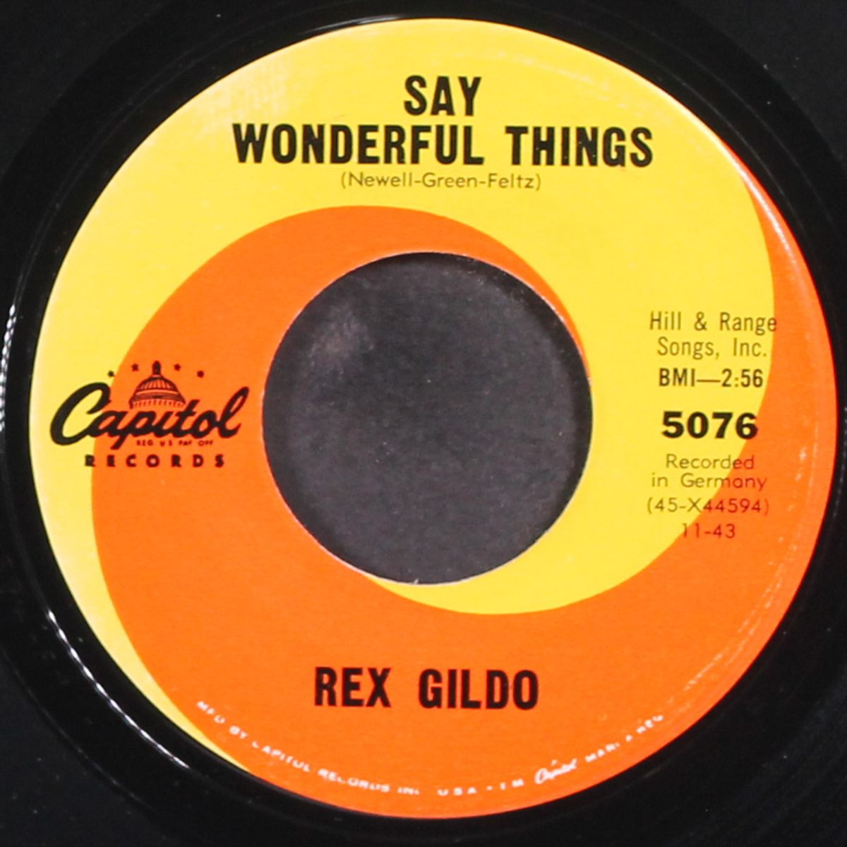 say wonderful things / devil in disguise by REX GILDO