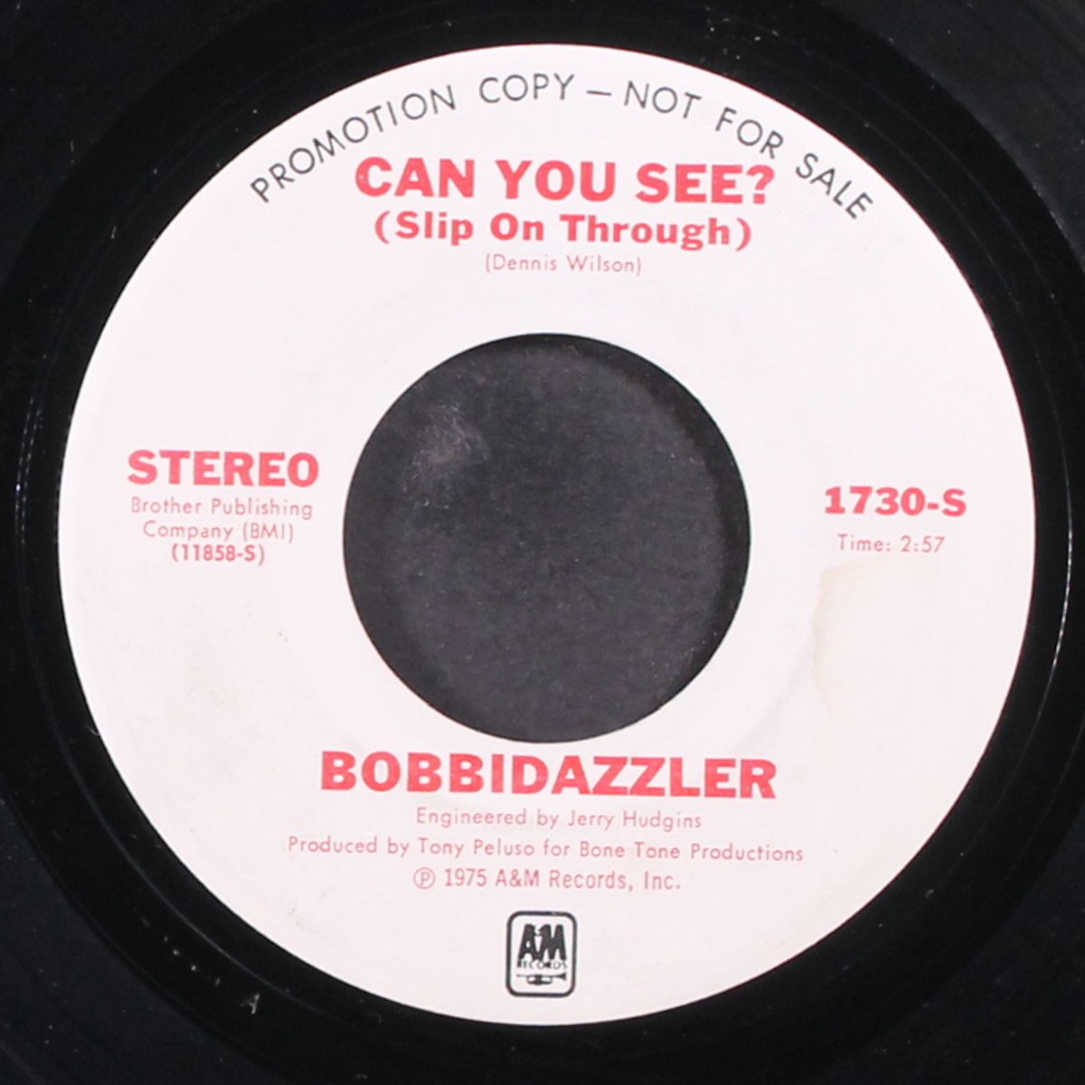 can you see? / mono by BOBBIDAZZLER