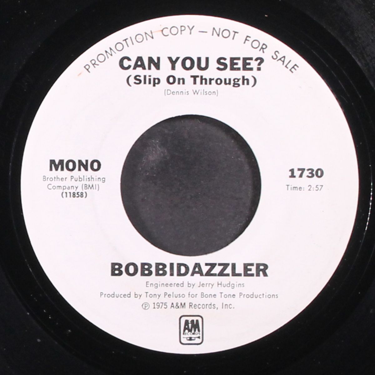 can you see? / mono by BOBBIDAZZLER