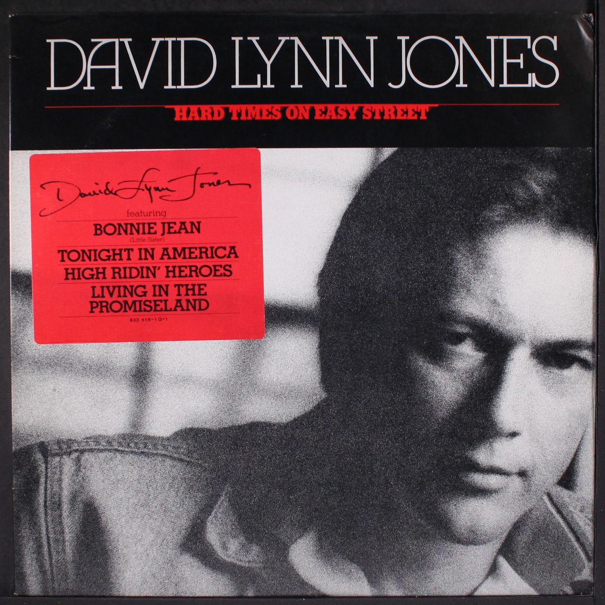 hard times on easy street by DAVID LYNN JONES