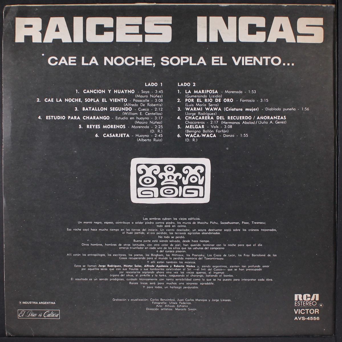 cae la noche, sopla el viento by RAICES INCAS