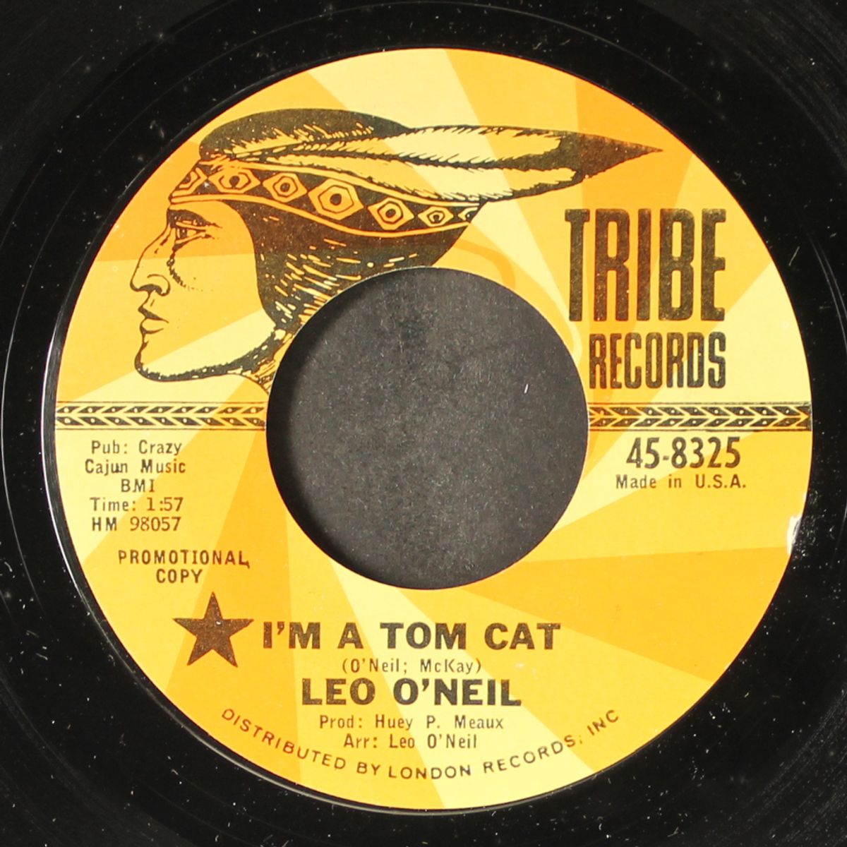 i'm a tom cat / keep a lookin', yes by LEO O'NEIL