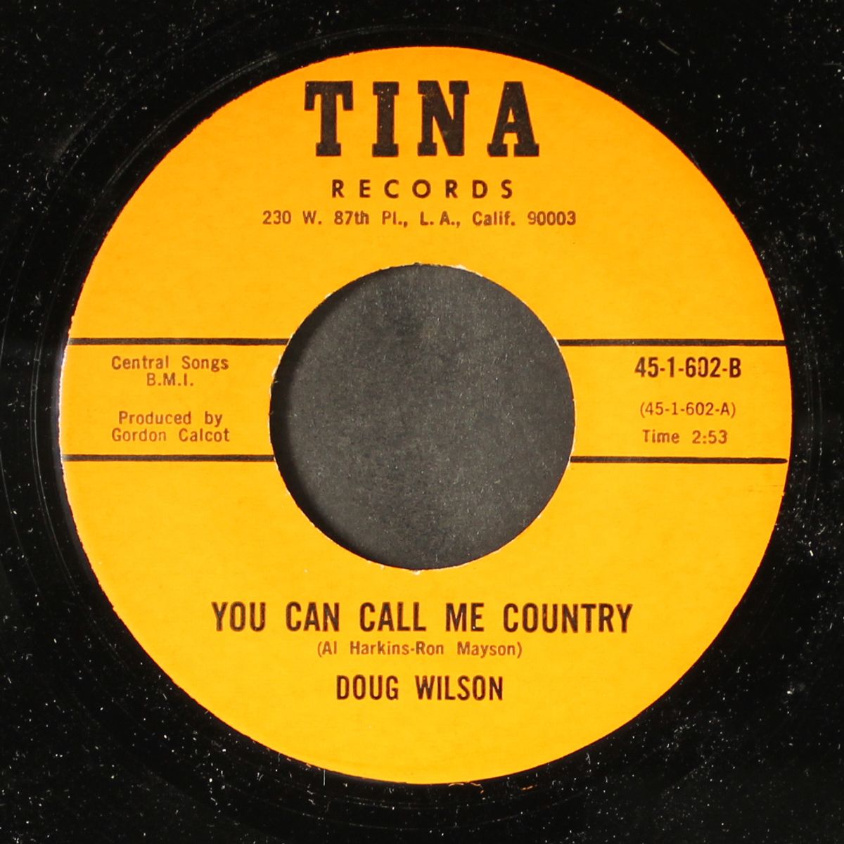 you can call me country / a little bit at a time by DOUG WILSON