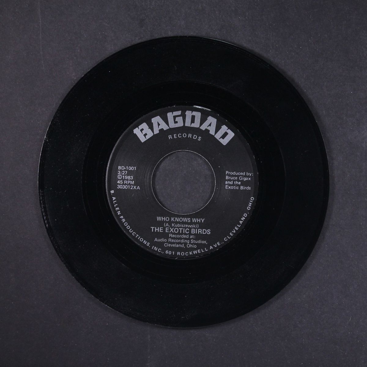 who knows why / dance the night away by EXOTIC BIRDS
