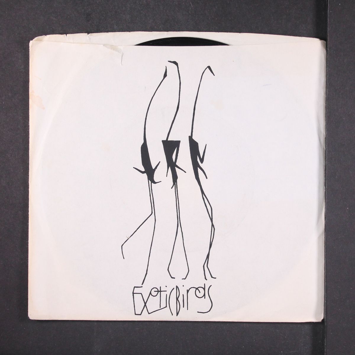 who knows why / dance the night away by EXOTIC BIRDS