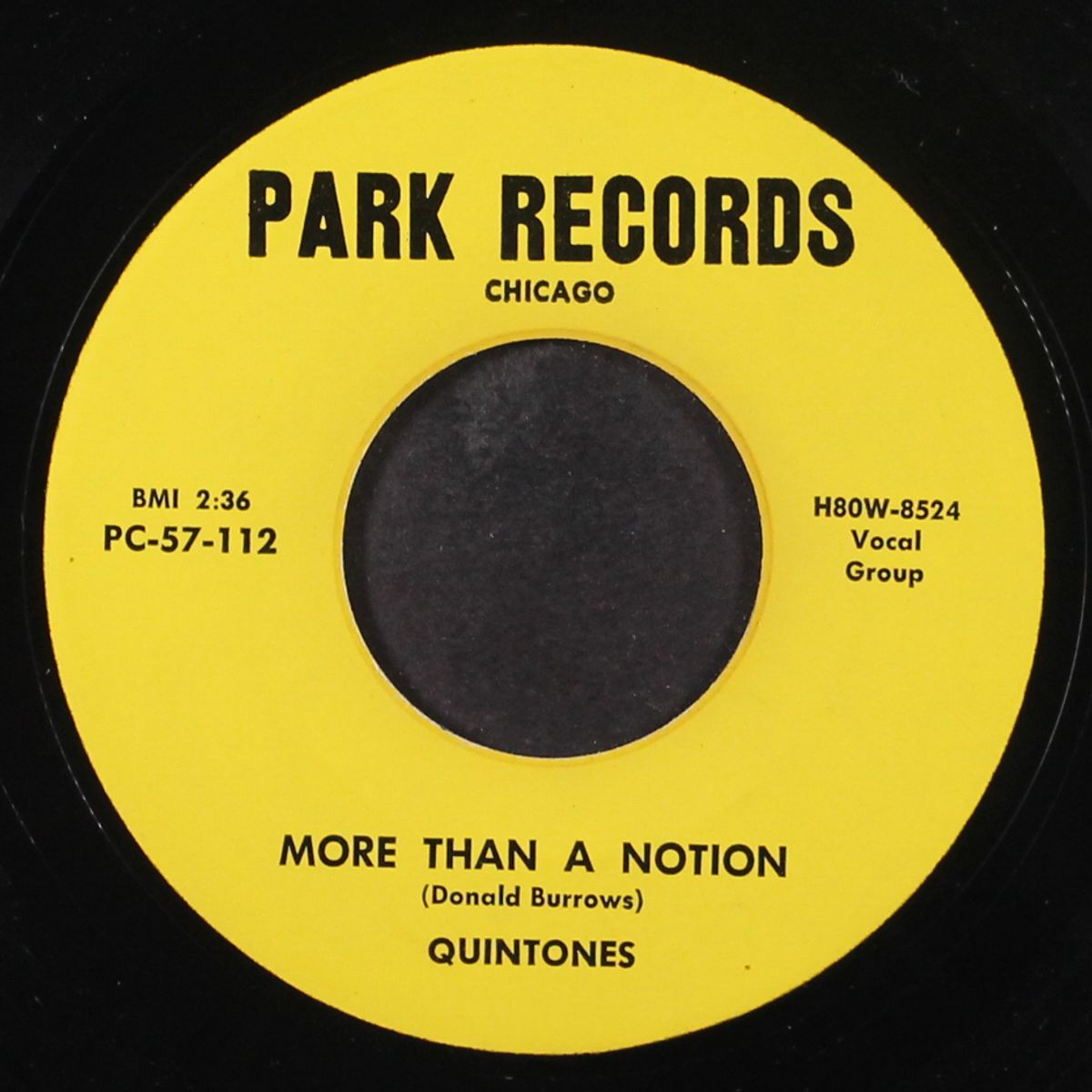 south sea island / more than a notion by QUINTONES
