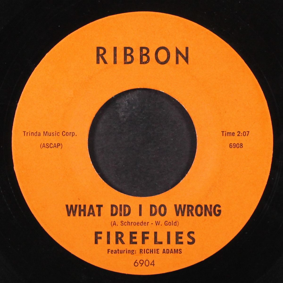i can't say goodbye by FIREFLIES